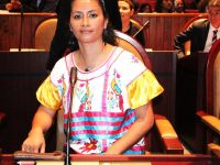 La salud y el medio ambiente: Paola Gutiérrez Galindo