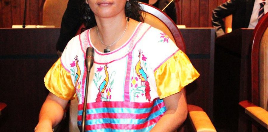 La salud y el medio ambiente: Paola Gutiérrez Galindo