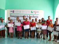 Más de 2 millones de litros de leche distribuyó Liconsa en Yucatán