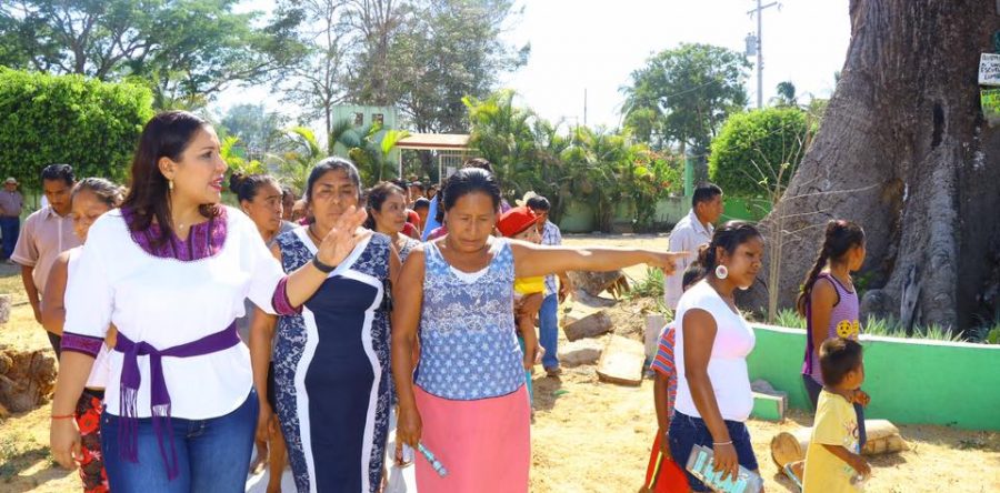 Congreso de la Unión respalda declaración de alerta de violencia  de género para Oaxaca: Karina Barón