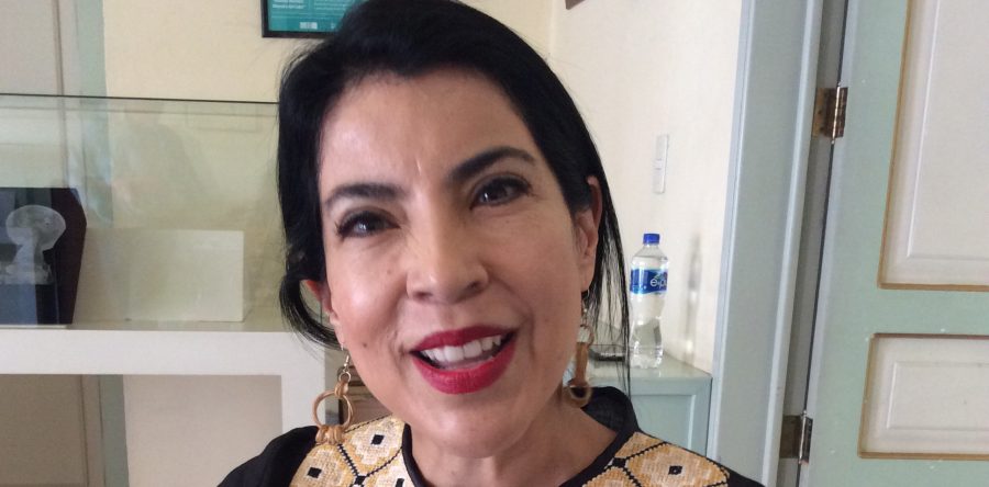 En mi gestión la tarea cultural es de equipo: Ana Vásquez Guzmán