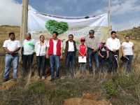 Realiza SEMAEDESO reforestación del parque ecológico “El Crestón”