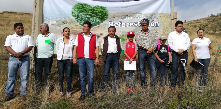 Realiza SEMAEDESO reforestación del parque ecológico “El Crestón”