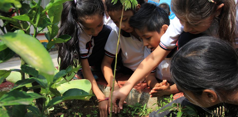 SAPAO involucra a la niñez en cuidado del medio ambiente