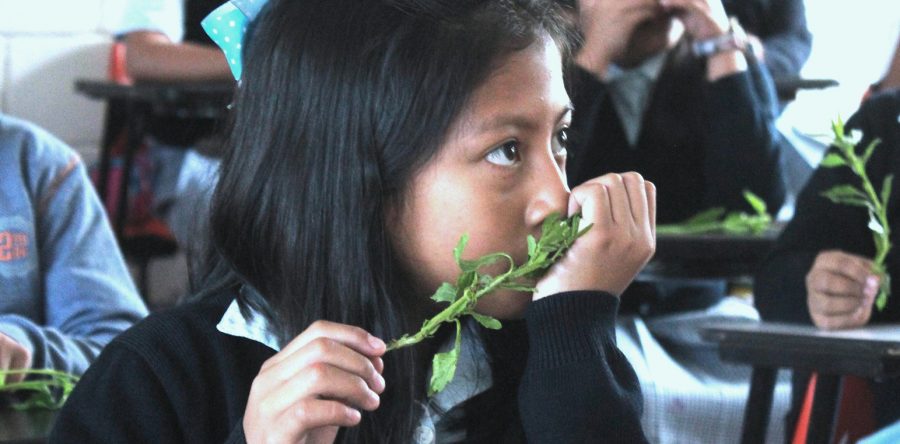 Llevan taller “Conociendo mi Jardín” a la escuela Niños Héroes de Chapultepec