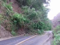 Reporta Cepco afectaciones por Tormenta Tropical “Calvin”