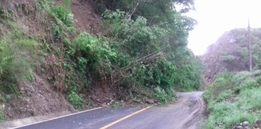 Reporta Cepco afectaciones por Tormenta Tropical “Calvin”