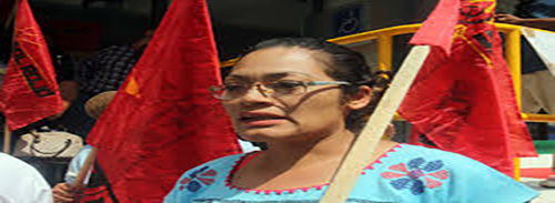 Sol Rojo se solidariza con estudiantes normalistas de Michoacán.