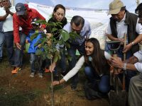 Siembran 1,400 árboles para reforestar el Parque Estatal del Cerro del Fortín
