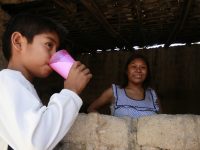 Liconsa ya puede incluir adolescentes varones en padrón de beneficiarios