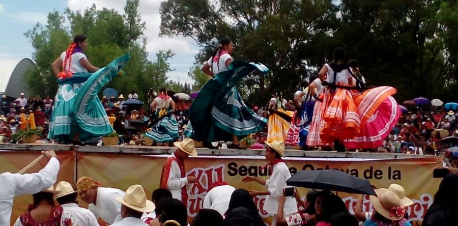 S-22 lleva a cabo Guelaguetza en Nochixtlán.