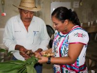 Cafetaleros de Chilchotla logran certificación orgánica