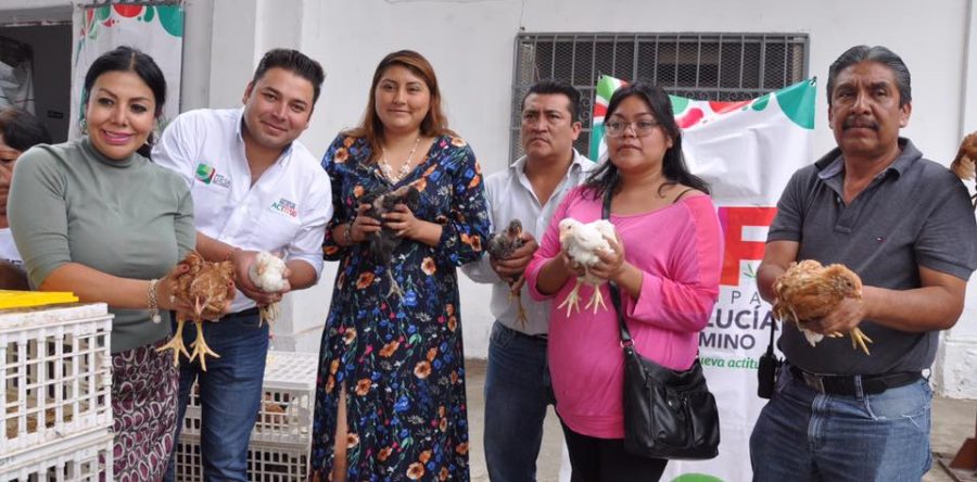 Raúl Cruz fomenta más fuentes de ingreso en las familias del municipio, con la segunda entrega de gallinas ponedoras