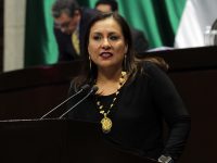 Karina Barón insiste: Hospital de la Niñez debe rescatarse ¡Ya!