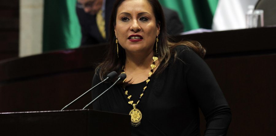 Karina Barón insiste: Hospital de la Niñez debe rescatarse ¡Ya!