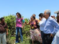 Realiza recorrido SINFRA, SE, SCT y Yarith Tannos por propuesta de camino para poder conectar a Santa María del Mar