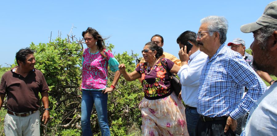 Realiza recorrido SINFRA, SE, SCT y Yarith Tannos por propuesta de camino para poder conectar a Santa María del Mar