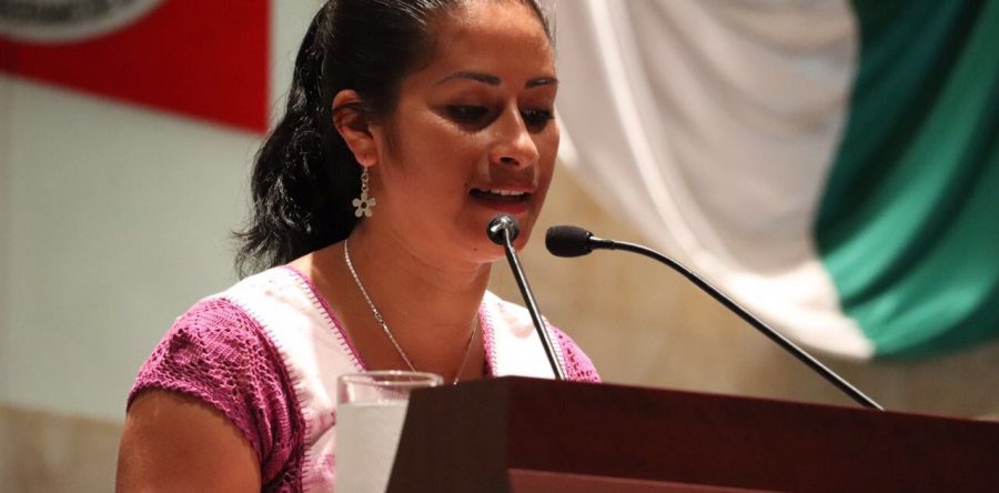 Propone Paola Gutiérrez crear la Procuraduría de Protección al Ambiente del Estado de Oaxaca