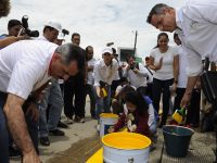 Miles de oaxaqueños se unen para embellecer la capital