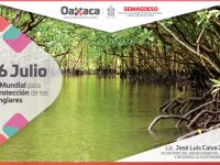 Manglares, altos en diversidad biológica: José Luis Calvo Ziga