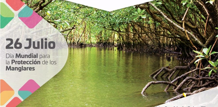 Manglares, altos en diversidad biológica: José Luis Calvo Ziga