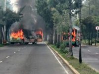 Roma está ardiendo: Raúl Castellanos