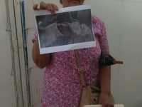 Pide Hilda Toledo castigo a quienes maltratan animales