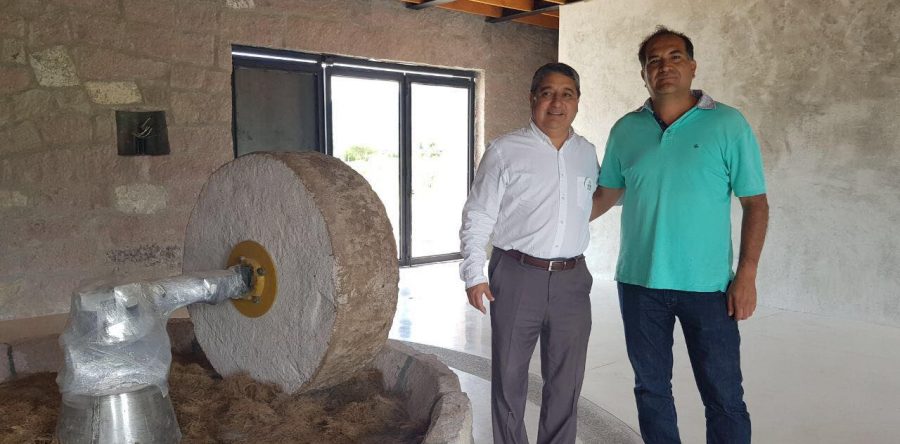 Secretaría de Economía impulsa el sector mezcalero de Oaxaca