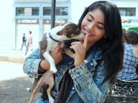 Exhortan a respetar el Reglamento Sanitario de Control y Protección a los Animales Domésticos