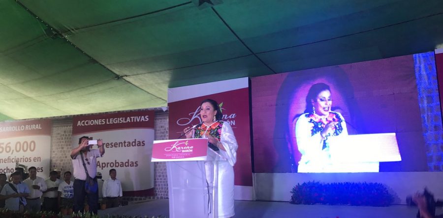 Legislar para la ciudadanía, no para una mafia: Karina Barón