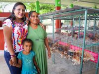 Karina Barón cumple con familias en siete municipios de la Cuenca del Papaloapan