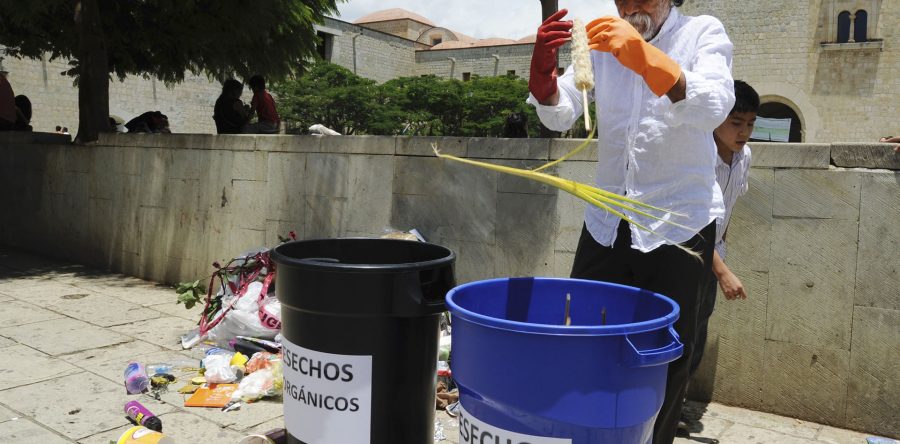 Se suma el maestro Francisco Toledo a programa para atender la basura en la capital
