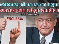 Elecciones primarias en lugar de encuestas para elegir candidatos: Carlos Ramírez
