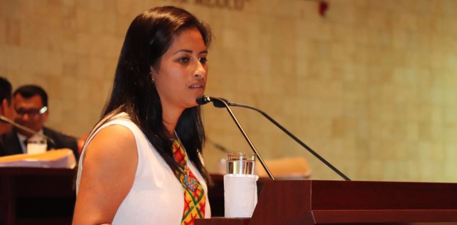 Padres irresponsables, no deben tener derecho a recibir alimento de sus hijos: Paola Gutiérrez