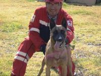El binomio Fausto y “Balto” ayudarán en la CDMX