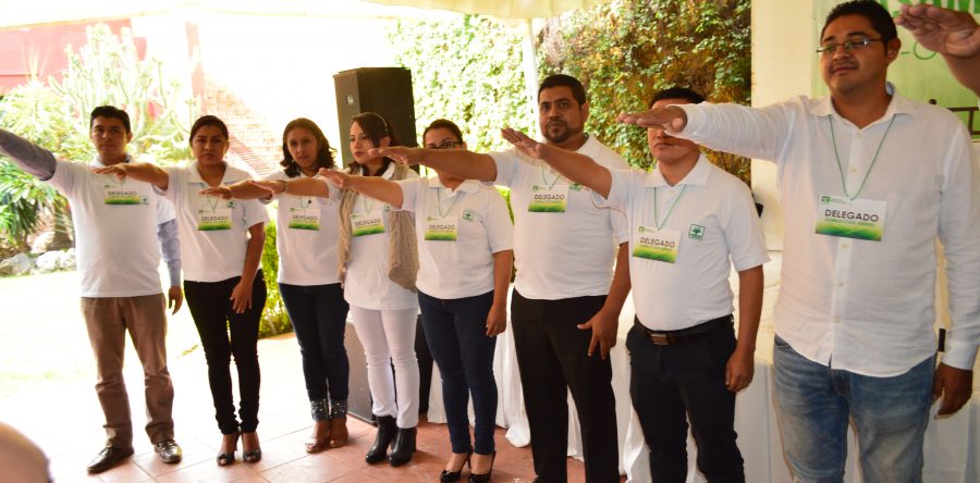 Se renueva dirigencia estatal del Partido Verde en Oaxaca