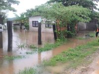 Declara Segob Emergencia por lluvia para 19 municipios de Oaxaca
