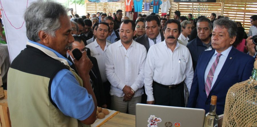 Oaxaca, sede del Primer Congreso Nacional del Agave