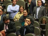 Pasar de la improvisación a la estrategia tras  terremoto, propone Karina Barón