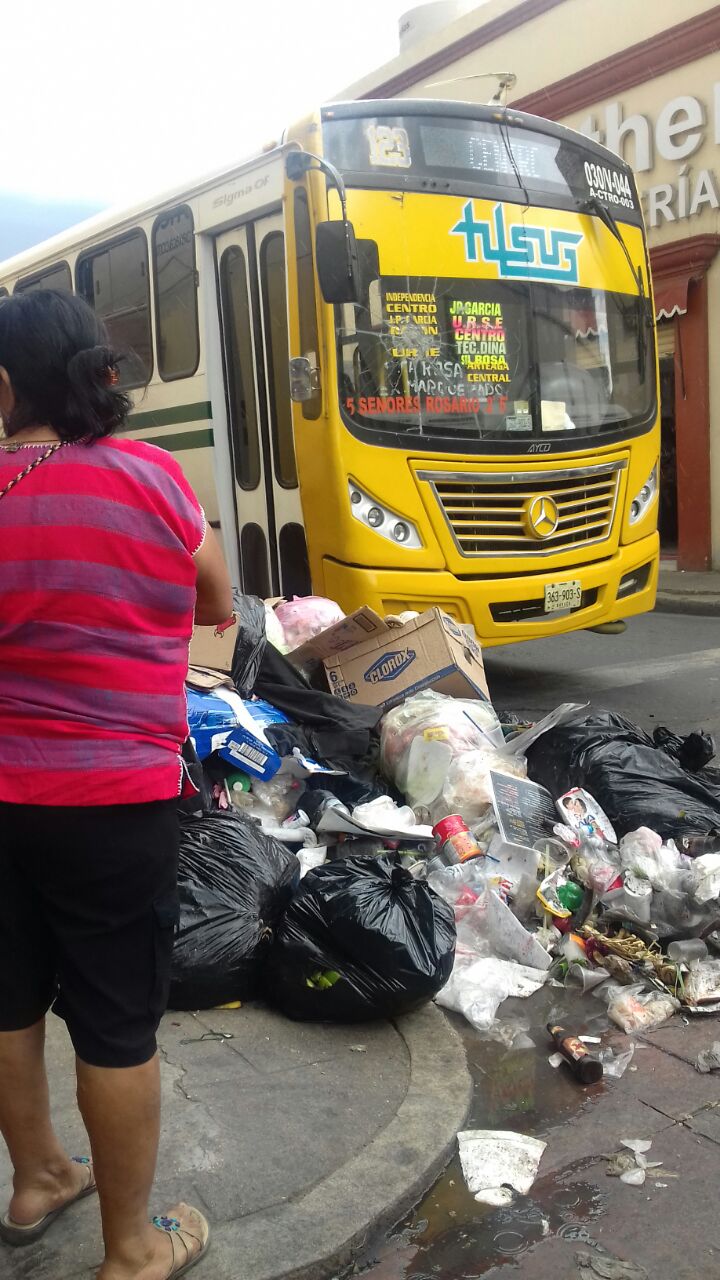 No cuentan municipios con reglamentos actuales para evitar daños al medio ambiente