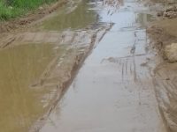 Buscarán declaratoria de emergencia por lluvias en 90 municipios de Oaxaca