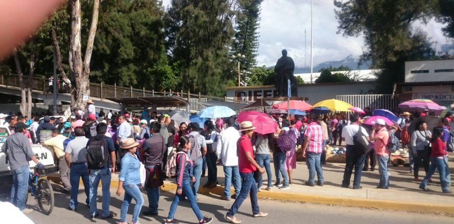 Reinicia Sección 22 con jornada de lucha; plantones y marchas el menú
