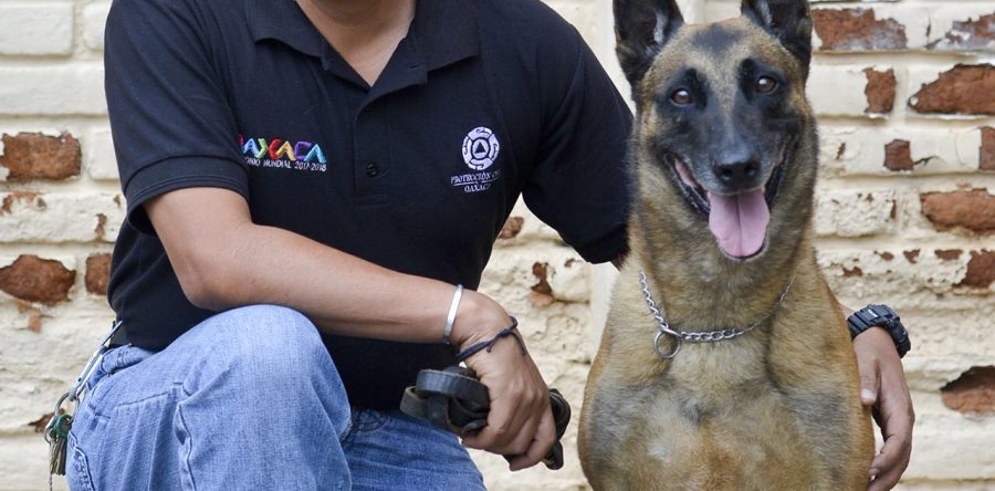 El binomio Fausto y “Balto” a nivel de equipos  nacionales e internacionales
