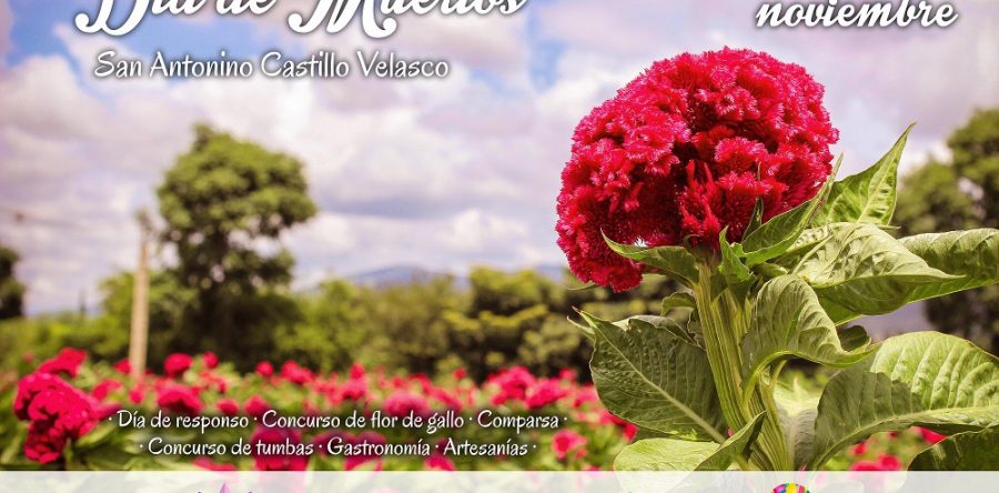 Invitan a celebrar “Día De Muertos”, en San Antonino Castillo Velasco