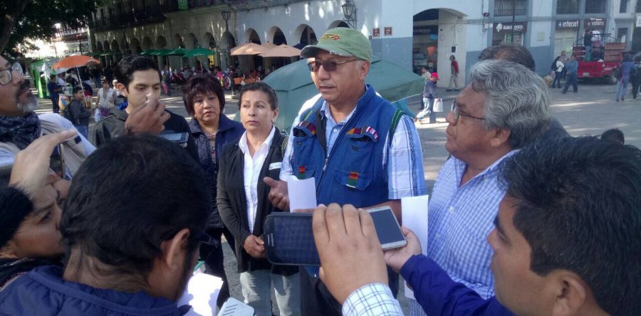 Denuncian tala desmedida de árboles en Juchitán