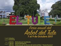 Oaxaca celebra la majestuosidad del milenario Árbol del Tule