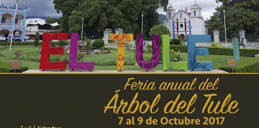 Oaxaca celebra la majestuosidad del milenario Árbol del Tule