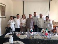 Estados del Sur-Sureste establecen agenda en materia económica