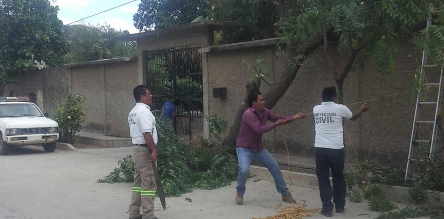 Implementa CEPCO operativo por lluvias y vientos fuertes en Oaxaca