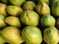 22 productos agrícolas oaxaqueños en el ranking nacional: Economía